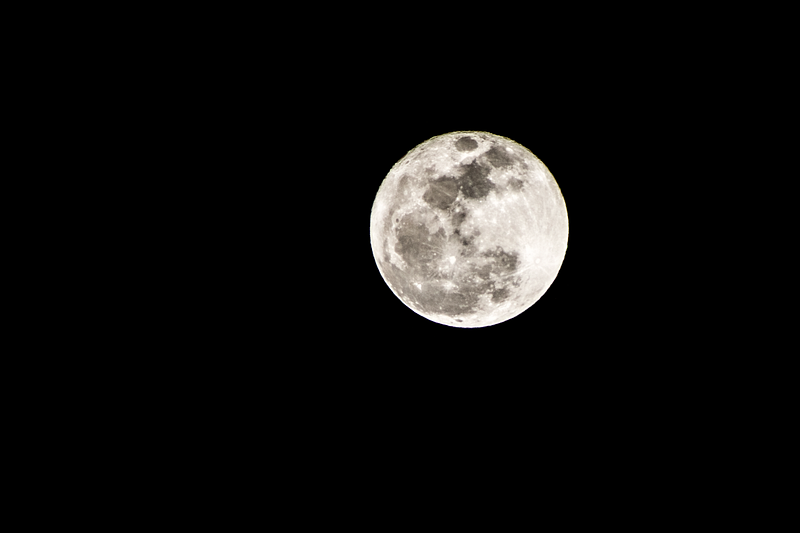 Photo by Francisco De Legarreta C. on Unsplash