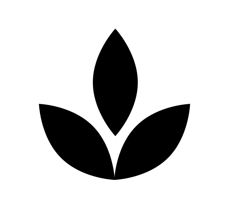 目前呈現樣子