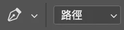路徑模式
