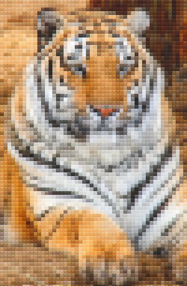 右邊為完成圖