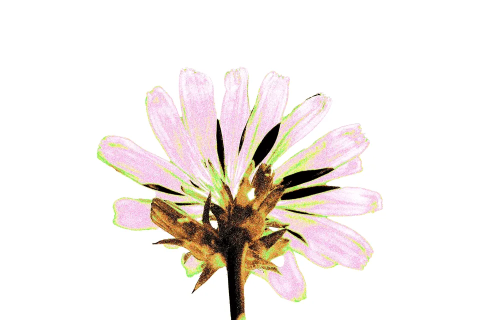 Photoshop教學 — 噴畫效果